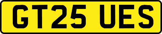 GT25UES