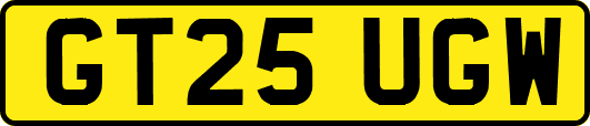 GT25UGW