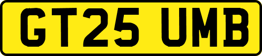 GT25UMB