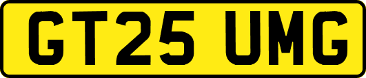 GT25UMG