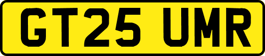 GT25UMR