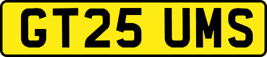 GT25UMS