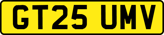 GT25UMV