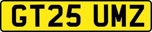 GT25UMZ