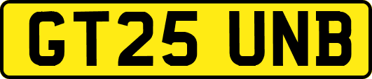 GT25UNB