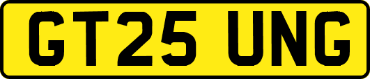 GT25UNG