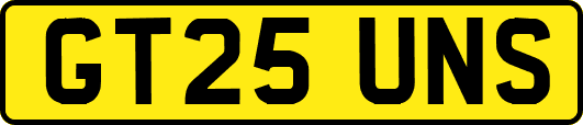 GT25UNS