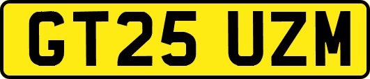 GT25UZM