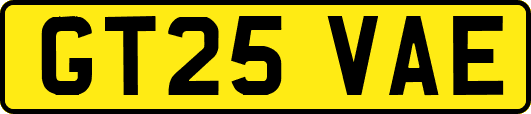 GT25VAE
