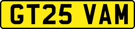 GT25VAM