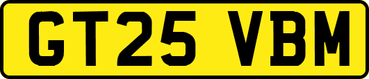 GT25VBM