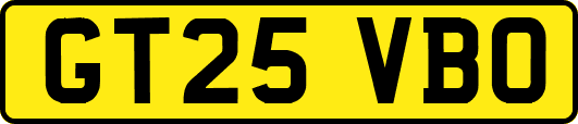 GT25VBO