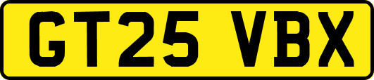 GT25VBX