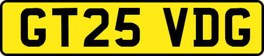 GT25VDG