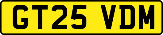 GT25VDM