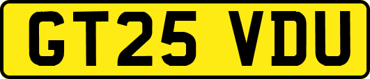 GT25VDU