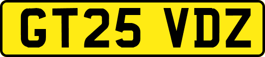 GT25VDZ