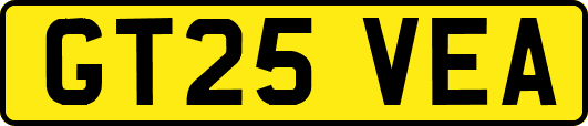 GT25VEA