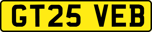 GT25VEB