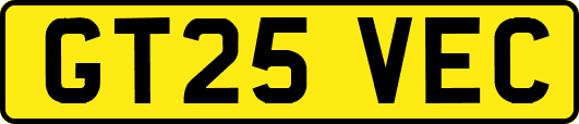 GT25VEC