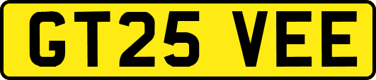 GT25VEE