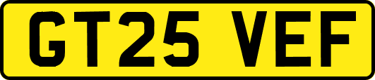 GT25VEF