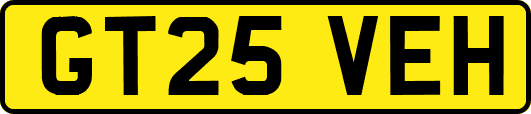 GT25VEH