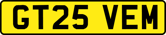 GT25VEM
