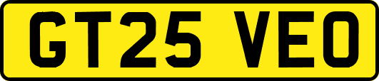 GT25VEO