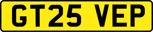 GT25VEP
