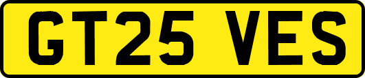 GT25VES