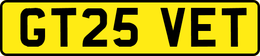 GT25VET
