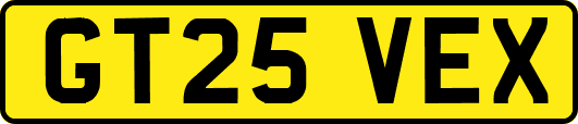 GT25VEX