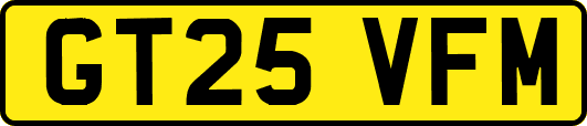 GT25VFM