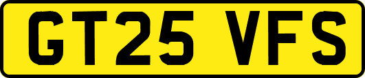 GT25VFS