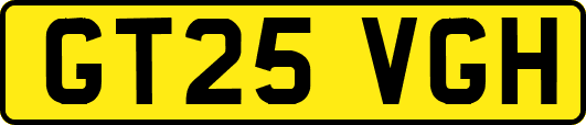 GT25VGH