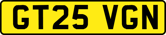 GT25VGN