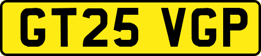 GT25VGP