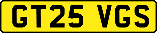 GT25VGS