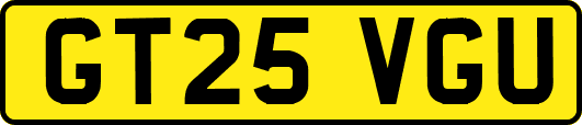 GT25VGU