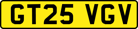 GT25VGV