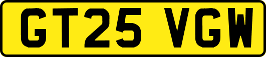 GT25VGW