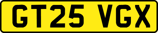 GT25VGX