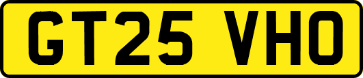 GT25VHO