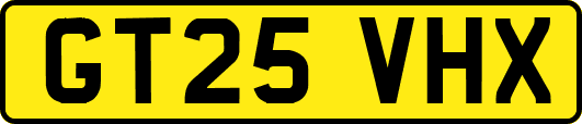 GT25VHX