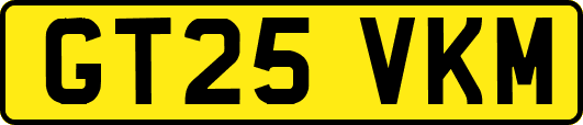 GT25VKM