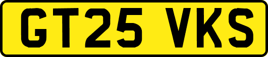 GT25VKS