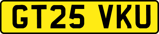 GT25VKU