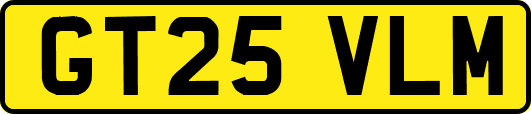 GT25VLM