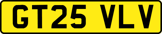 GT25VLV